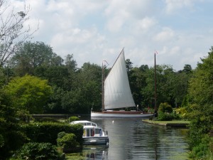 white moth sailing wherry