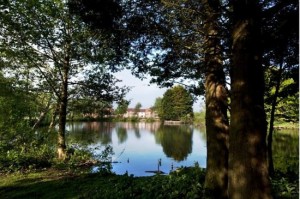 lakeview holiday cottages, somerset