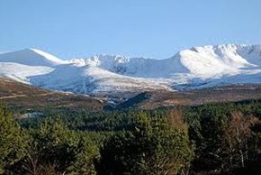 heath cottage - Great views across the Cairngorms