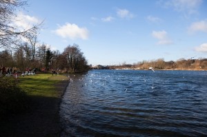 Whitlingham Broad, Norfolk Broads