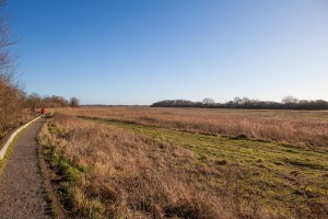 Rockland broad view