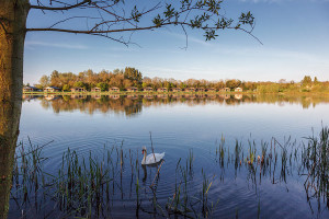 lakepochardlodges