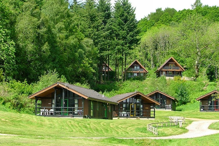 Forest Lodge