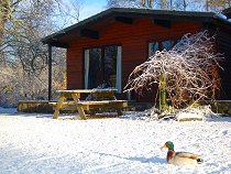 Cedar Cabin - Port of Menteith, Stirling, Scotland 
