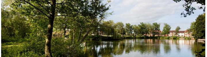 fishing cottages in somerset