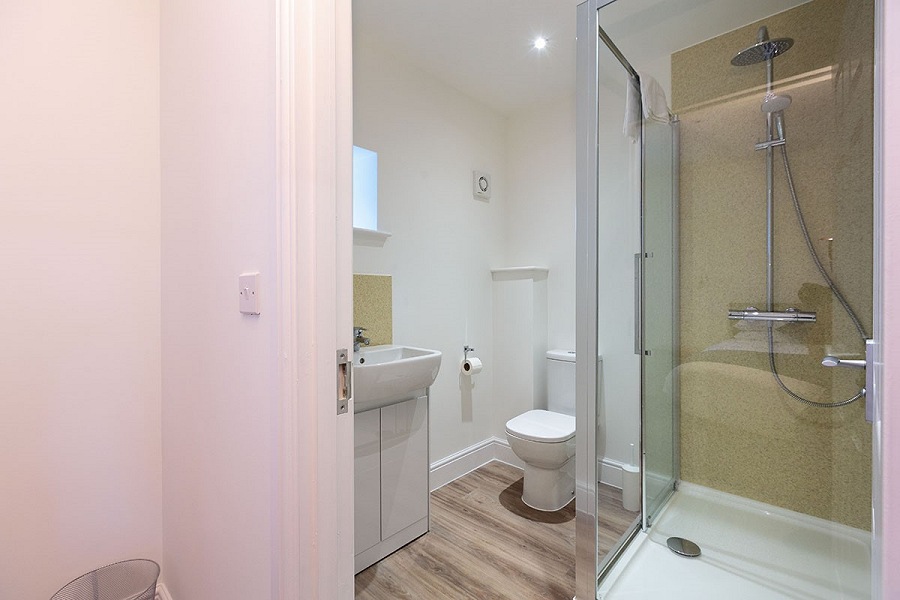 Greylag Goose Bathroom