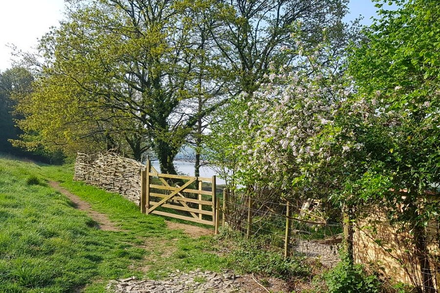 The Beehive Surroundings