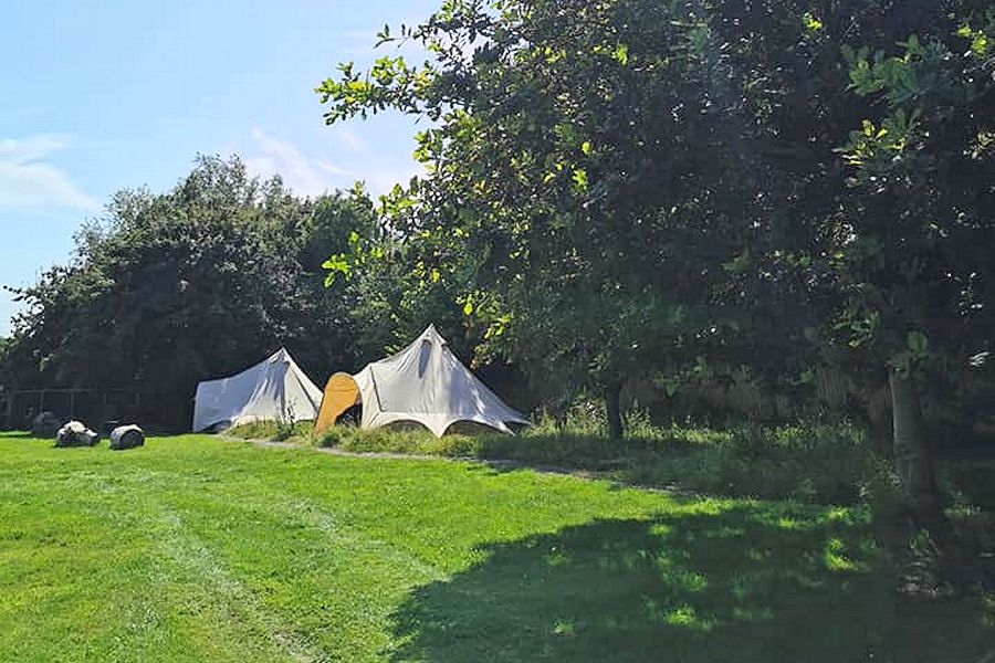 Bell Tents