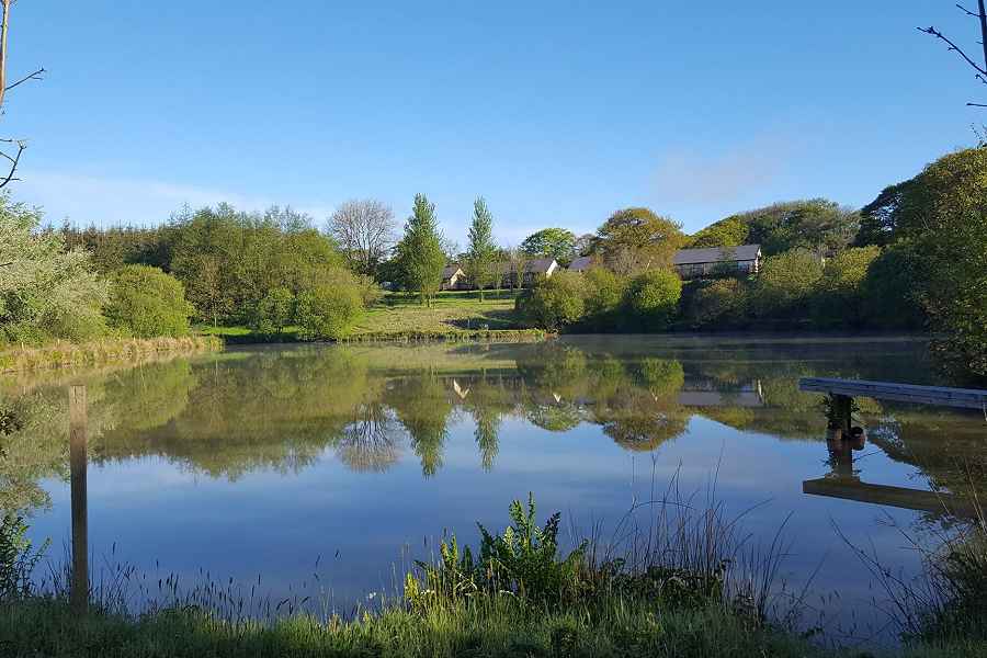 Blagdon Farm Cottages