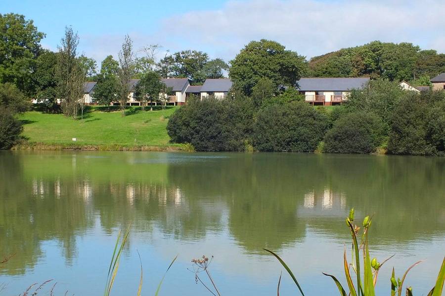 Blagdon Farm