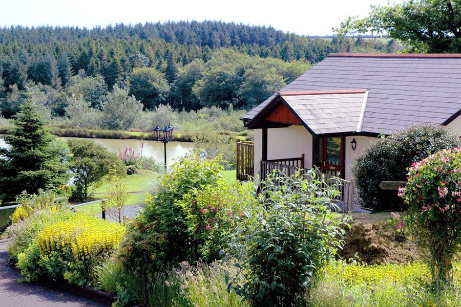 Blagdon Farm
