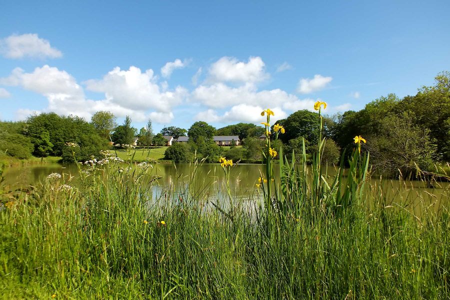 Blagdon Farm