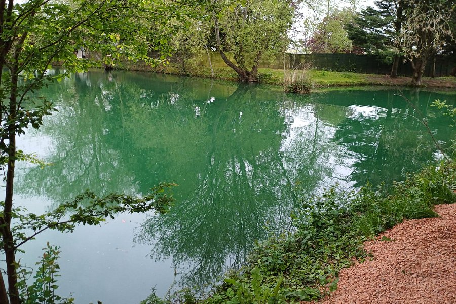 Carp Cabin Lake