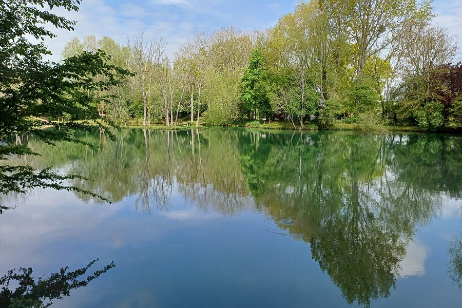 Carp Cabin Lake