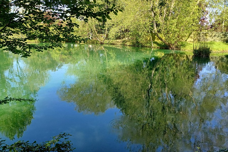 Carp Cabin Lake
