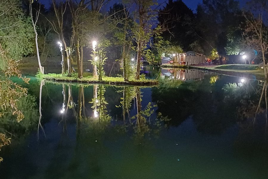 Carp Cabin Lake at Night