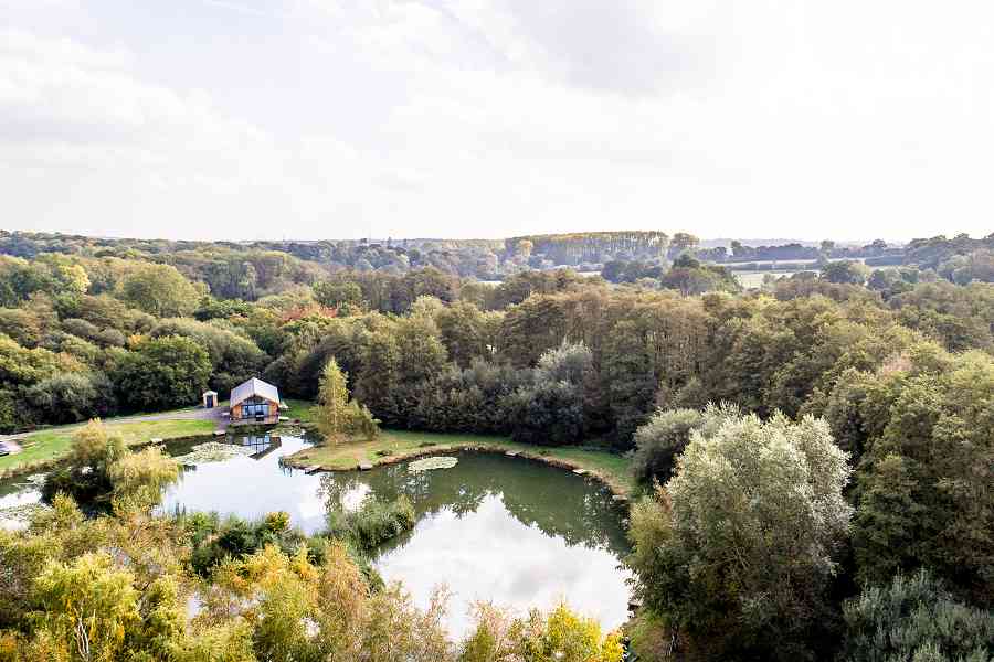 Dandys Ford Holiday Lodge in New Forest