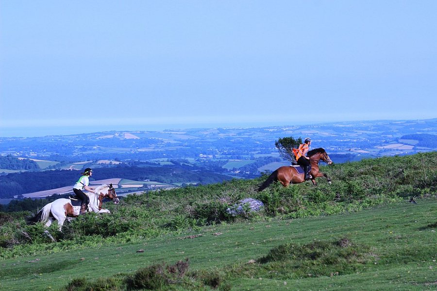 Horse Riding on Dartmoor