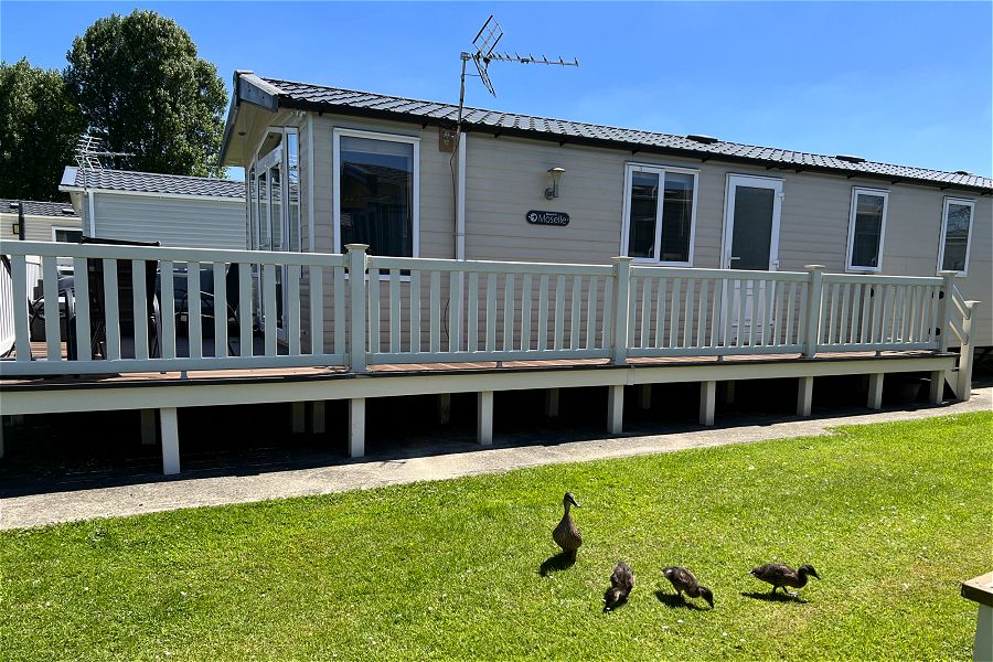 Dragonfly Lodge - holiday property in Cirencester