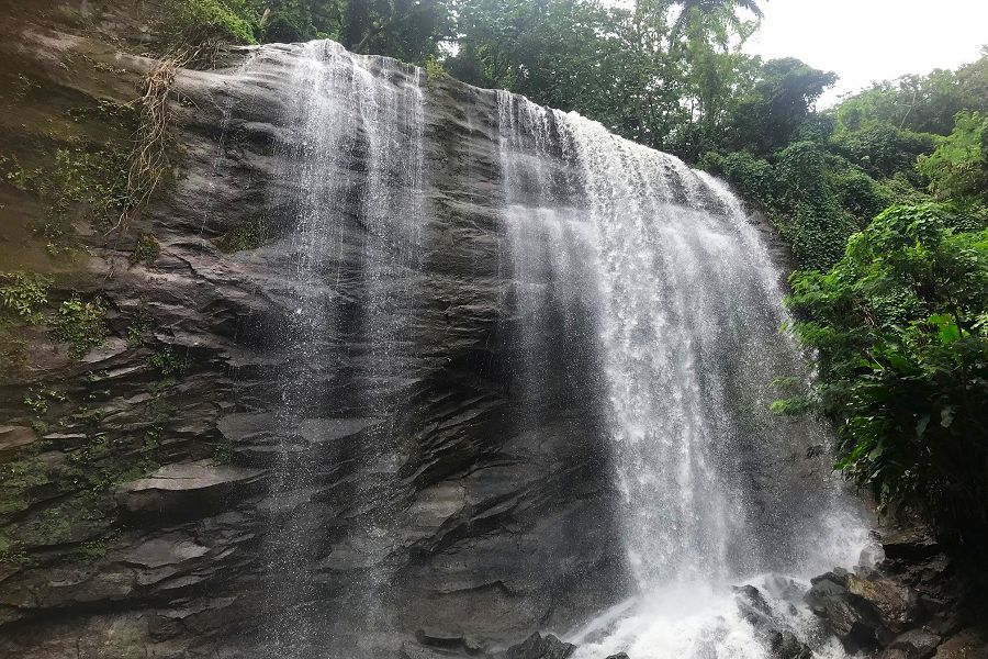 Dunhams Waterfall