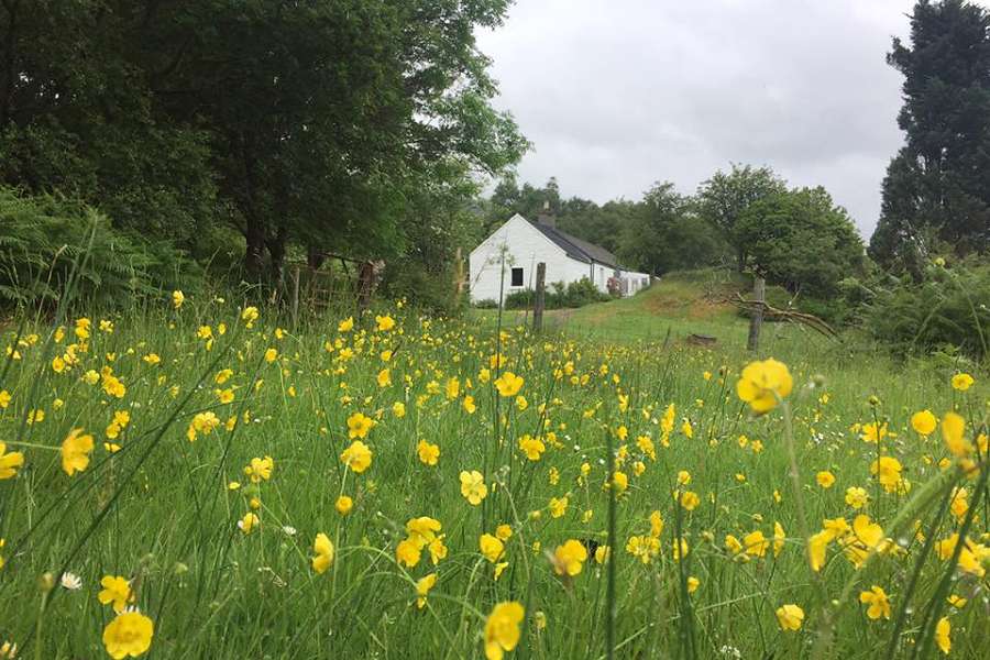 Cove Cottage Surrounding Fields