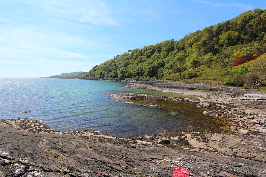 View from The Kennels