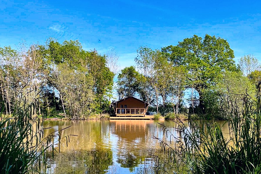 Safari Tent Kingfisher