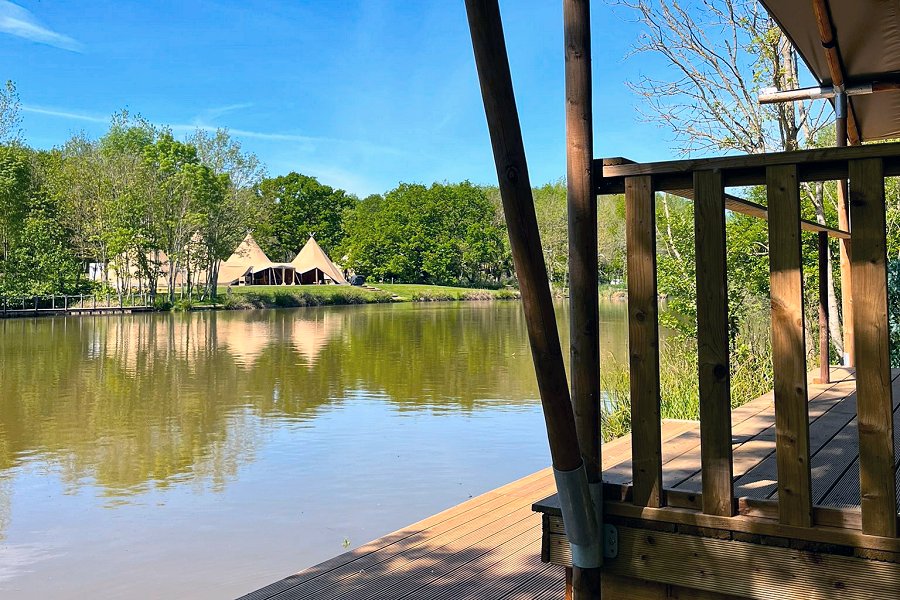 Safari Tent Kingfisher