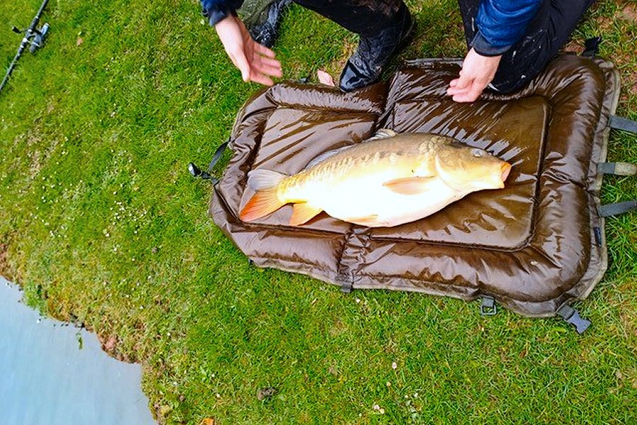 Fishing at Fishermans