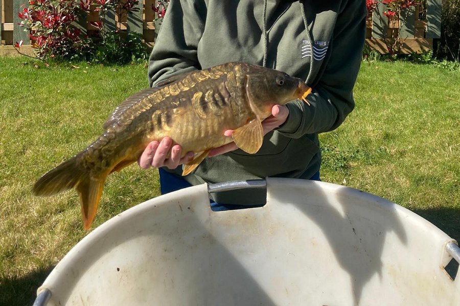 Fishing at Four Lakes Retreat