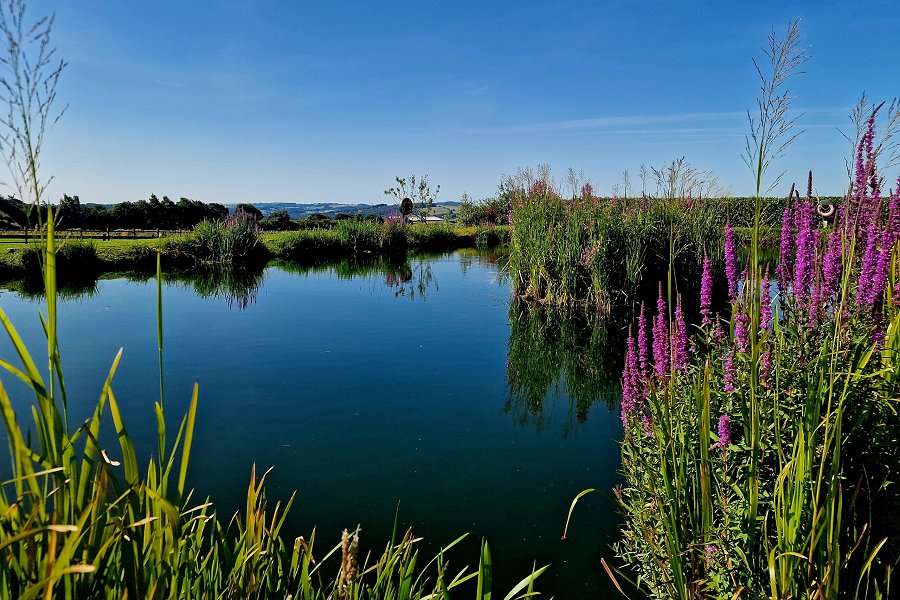 Lake View Lodge