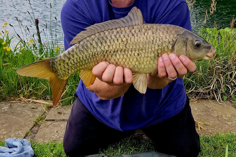 Lake View Lodge Fishing