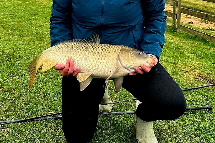 Lake View Lodge Fishing