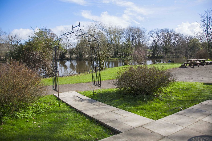 Grebe's Nest View