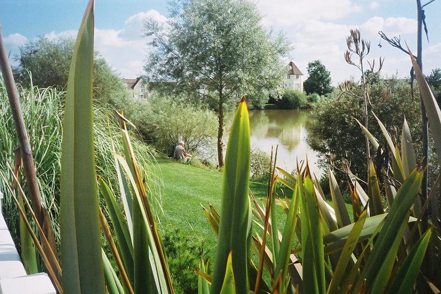 Fishing on Isis and Windrush Lakes