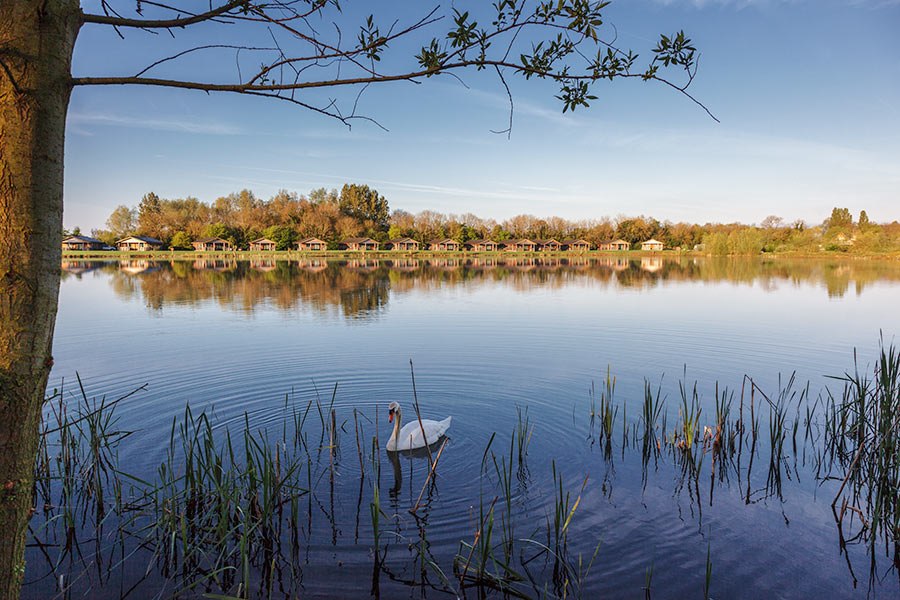 Lake Pochard holiday lodge