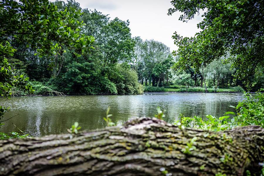 Lakeview Holiday Cottages Fishing Lake