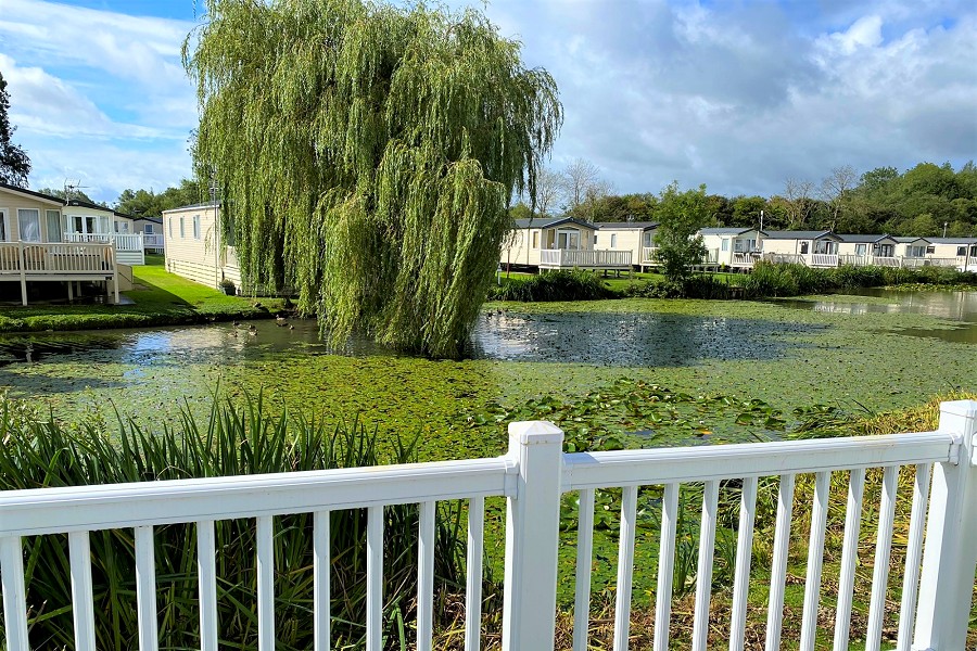 Lilly Pad View