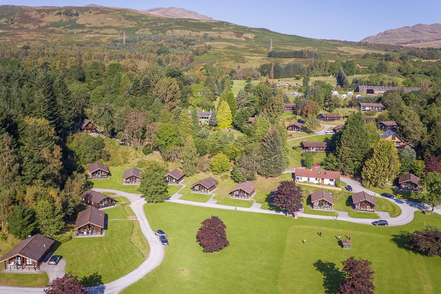 Ivy Tree Aerial