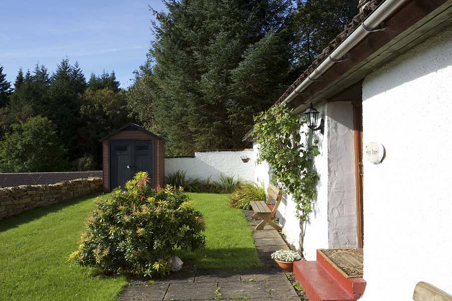 Ivy Tree Cottage Garden