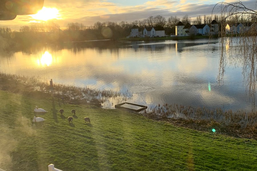 Moorhens' Rest Lake