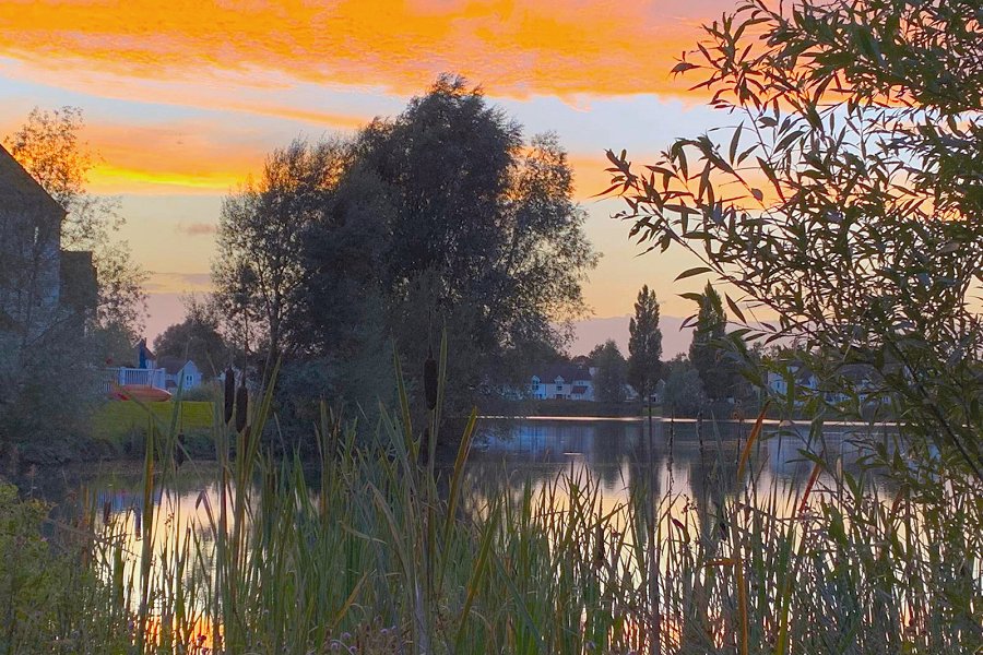 Moorhens' Rest Sunset