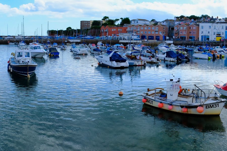 Paignton Harbour