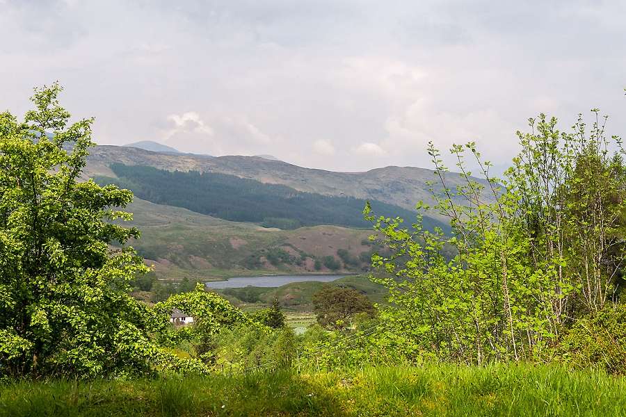 Buzzard Chalet Views