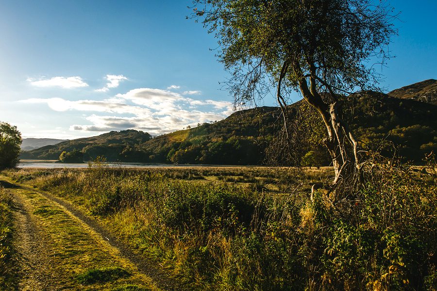 Merlin Cottage View