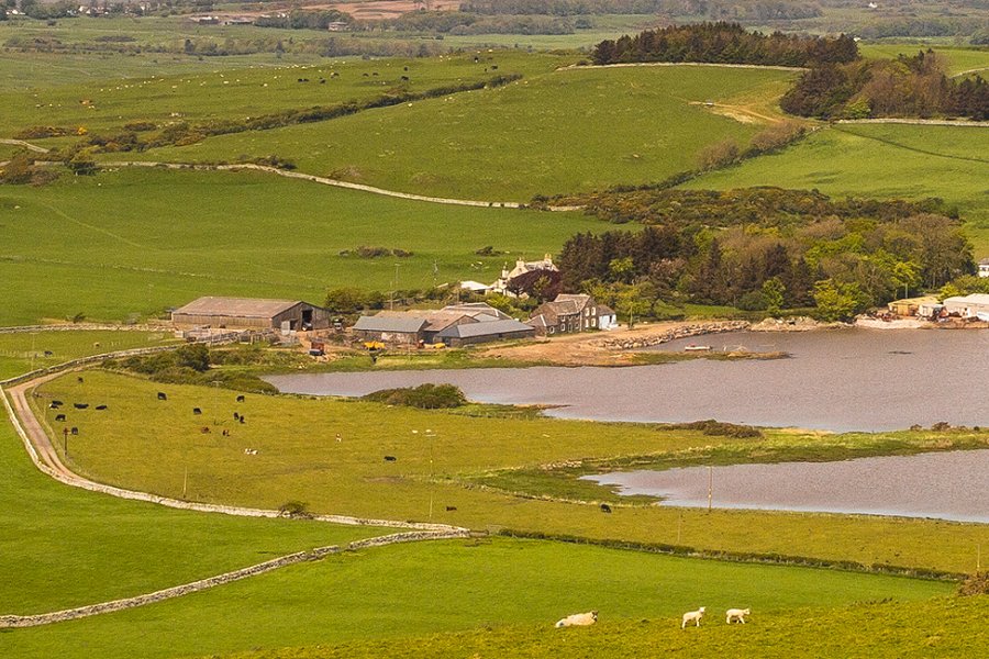 Ross Bay Retreat Cottages From The Air