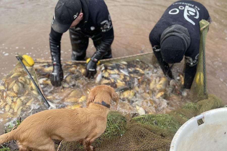 South View Fishing