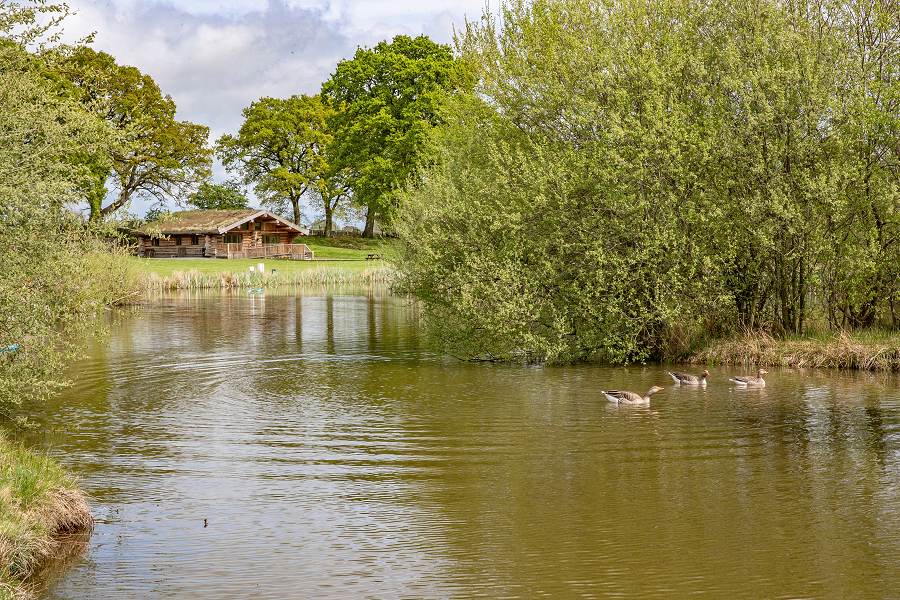 Spring Heath Lake Views