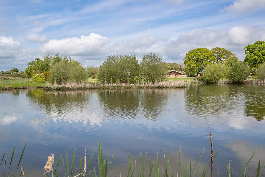 Spring Heath Fishing Lakes