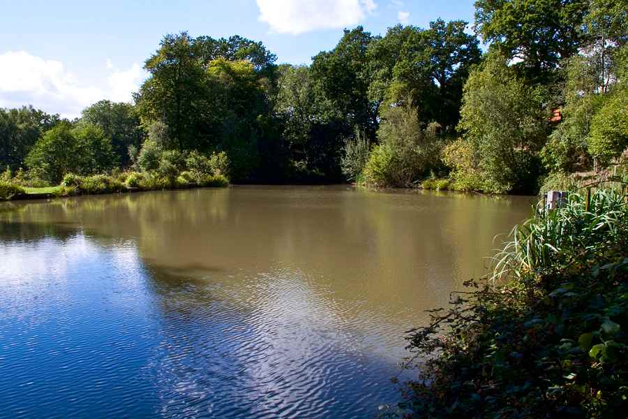 Springwood Fishery